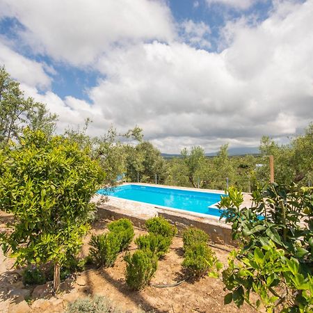 Hakuna Matata Holidays Wooden Lodge With Airco & Pool In Greek Olive Grove Метони Экстерьер фото