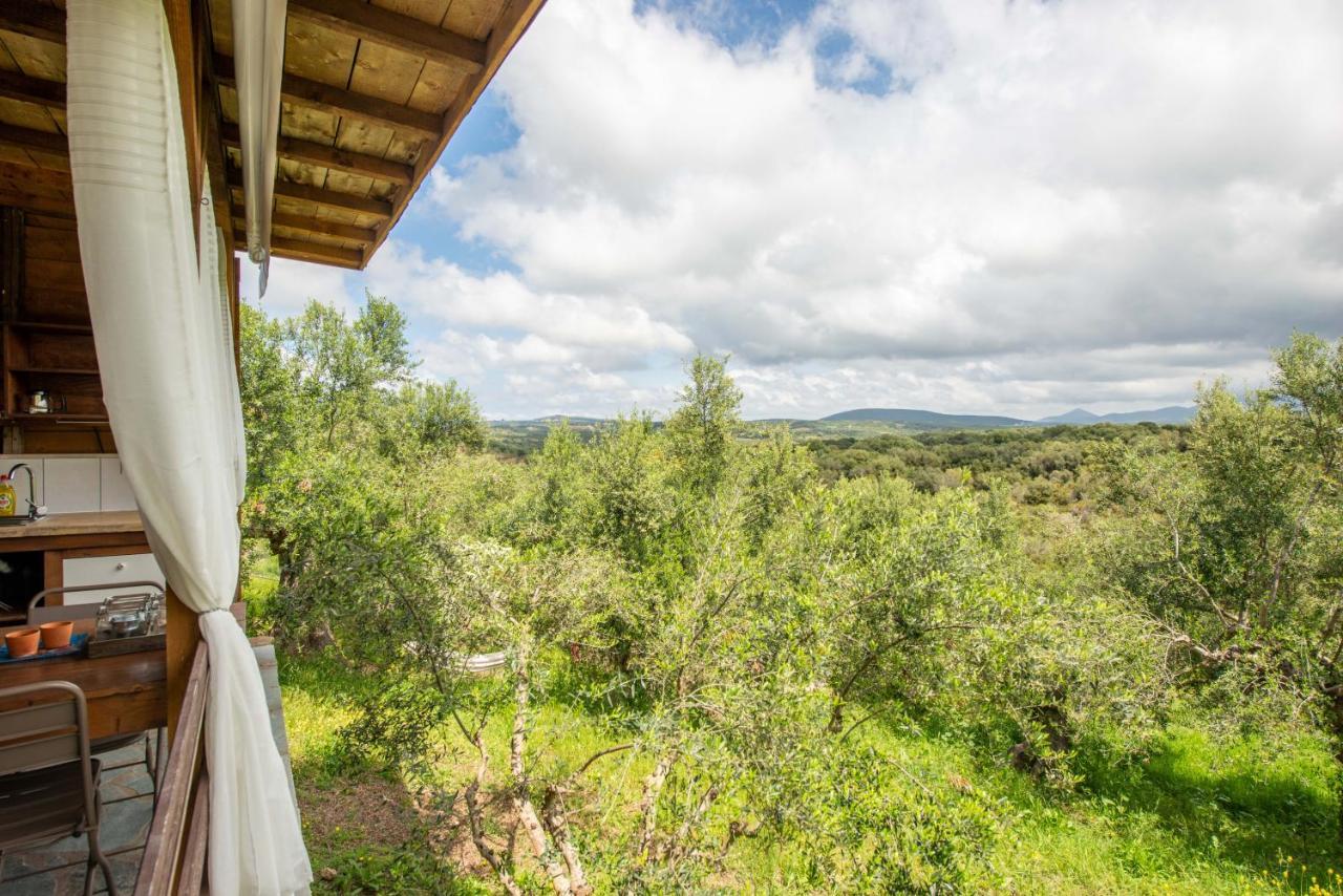 Hakuna Matata Holidays Wooden Lodge With Airco & Pool In Greek Olive Grove Метони Экстерьер фото