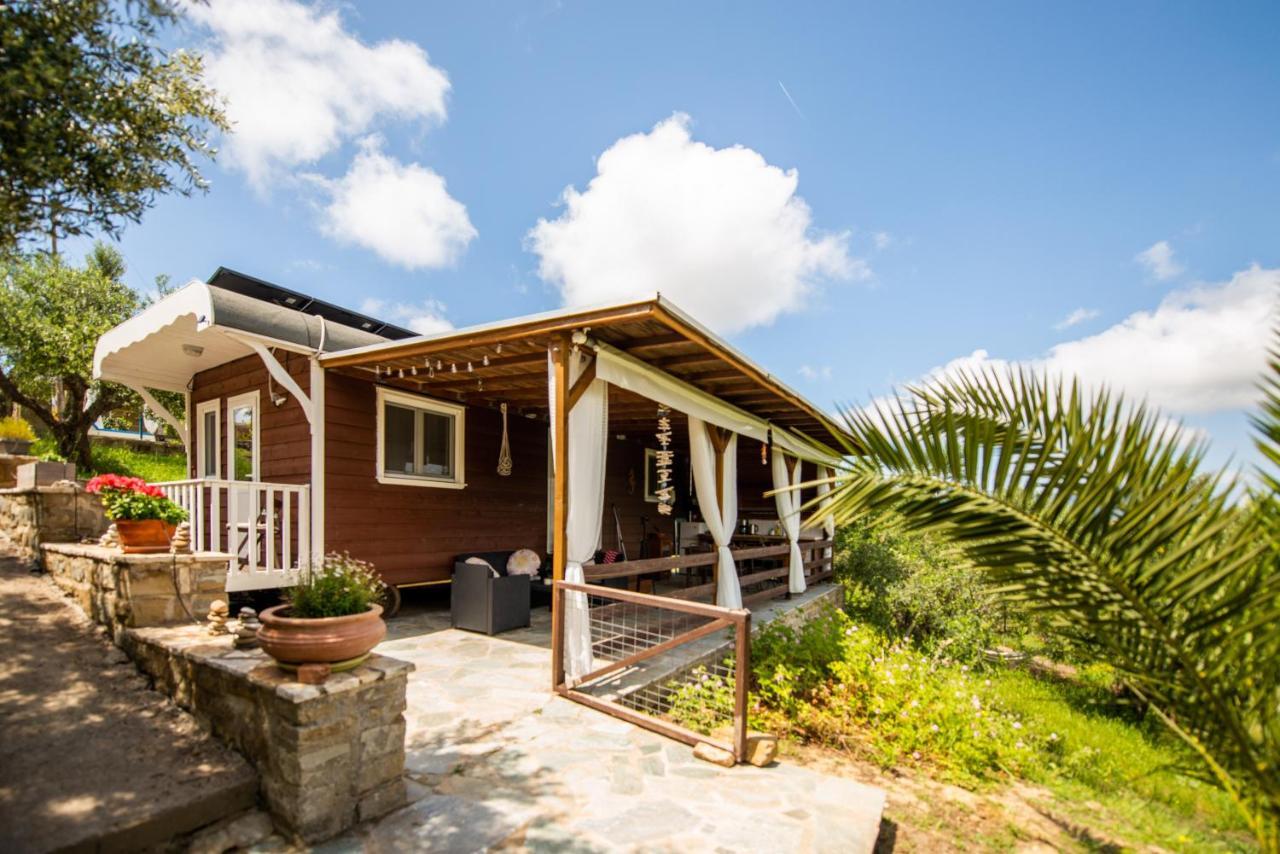 Hakuna Matata Holidays Wooden Lodge With Airco & Pool In Greek Olive Grove Метони Экстерьер фото