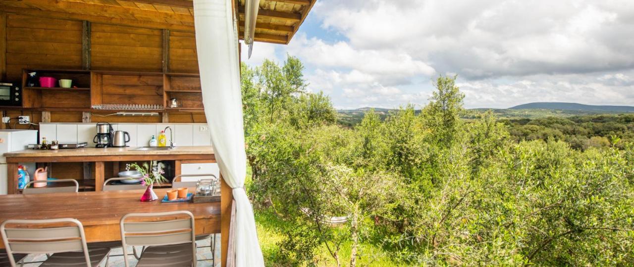 Hakuna Matata Holidays Wooden Lodge With Airco & Pool In Greek Olive Grove Метони Экстерьер фото