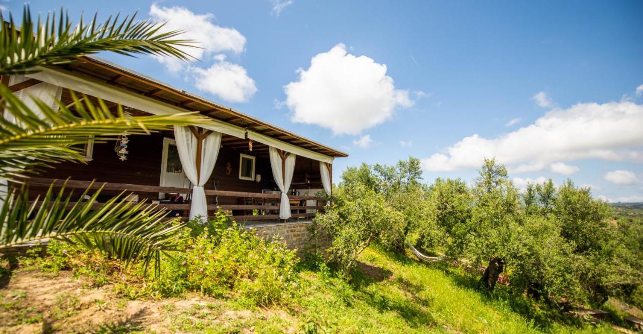 Hakuna Matata Holidays Wooden Lodge With Airco & Pool In Greek Olive Grove Метони Экстерьер фото