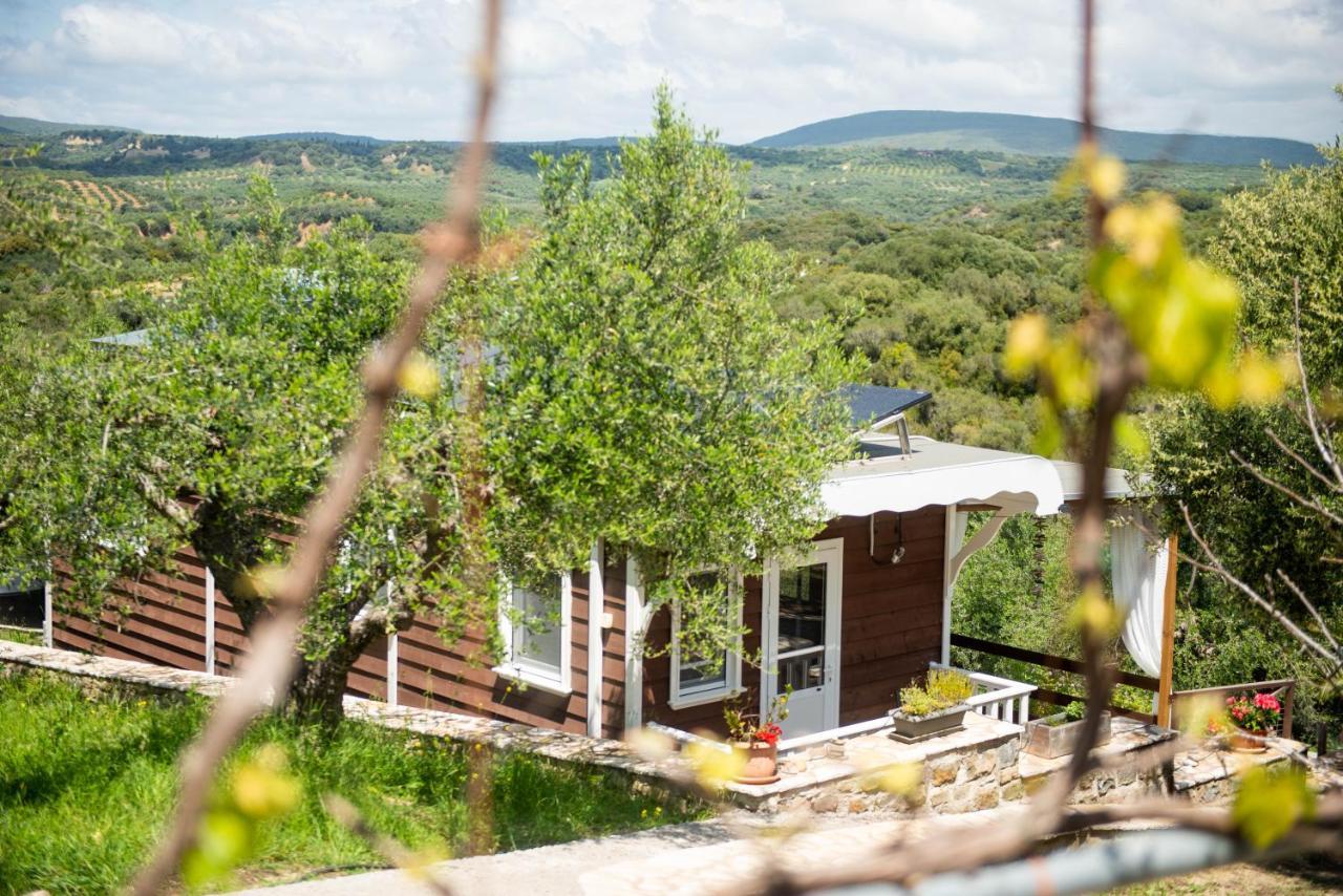 Hakuna Matata Holidays Wooden Lodge With Airco & Pool In Greek Olive Grove Метони Экстерьер фото