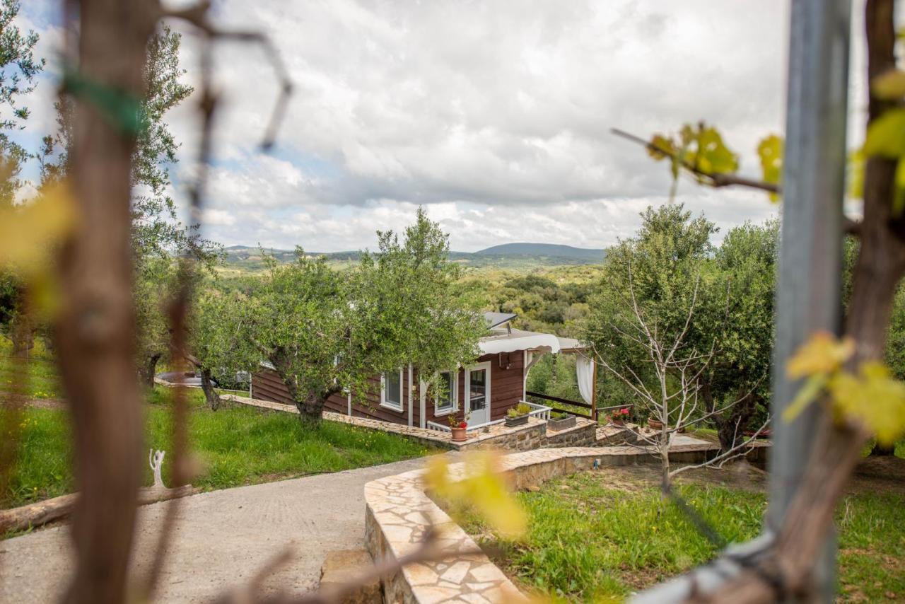 Hakuna Matata Holidays Wooden Lodge With Airco & Pool In Greek Olive Grove Метони Экстерьер фото
