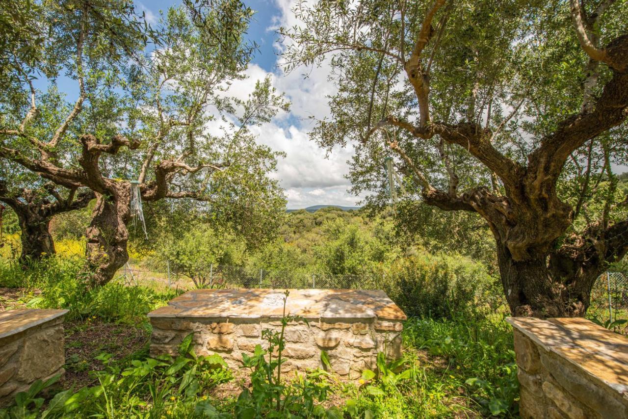 Hakuna Matata Holidays Wooden Lodge With Airco & Pool In Greek Olive Grove Метони Экстерьер фото