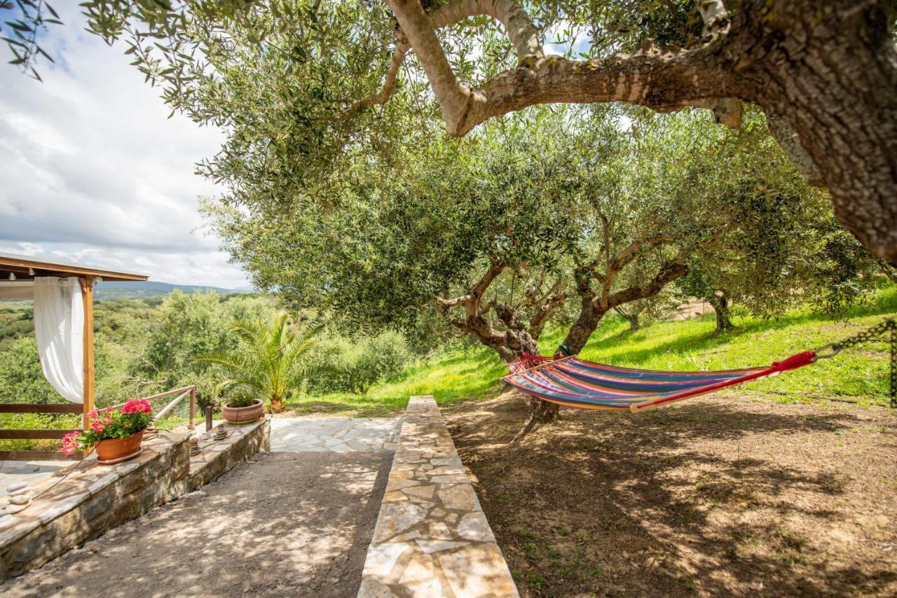 Hakuna Matata Holidays Wooden Lodge With Airco & Pool In Greek Olive Grove Метони Экстерьер фото