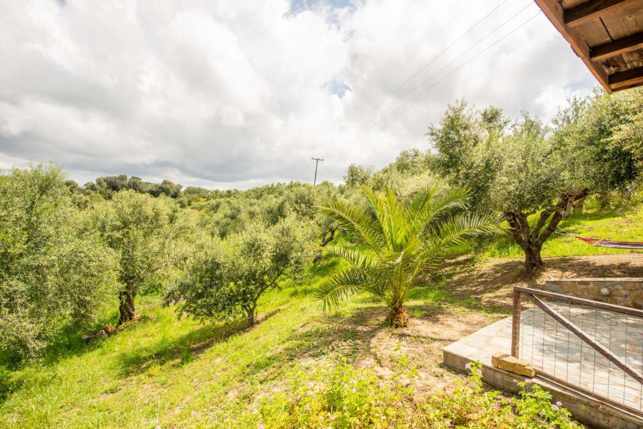 Hakuna Matata Holidays Wooden Lodge With Airco & Pool In Greek Olive Grove Метони Экстерьер фото