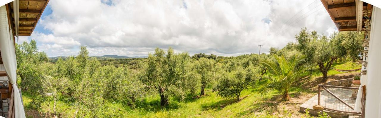 Hakuna Matata Holidays Wooden Lodge With Airco & Pool In Greek Olive Grove Метони Экстерьер фото