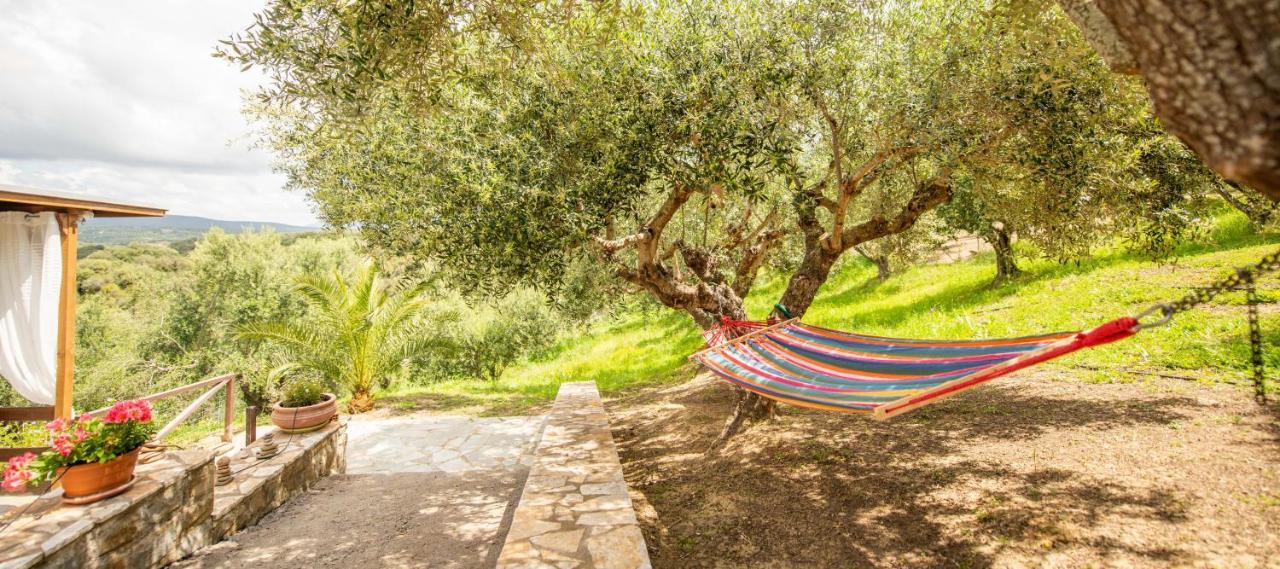 Hakuna Matata Holidays Wooden Lodge With Airco & Pool In Greek Olive Grove Метони Экстерьер фото
