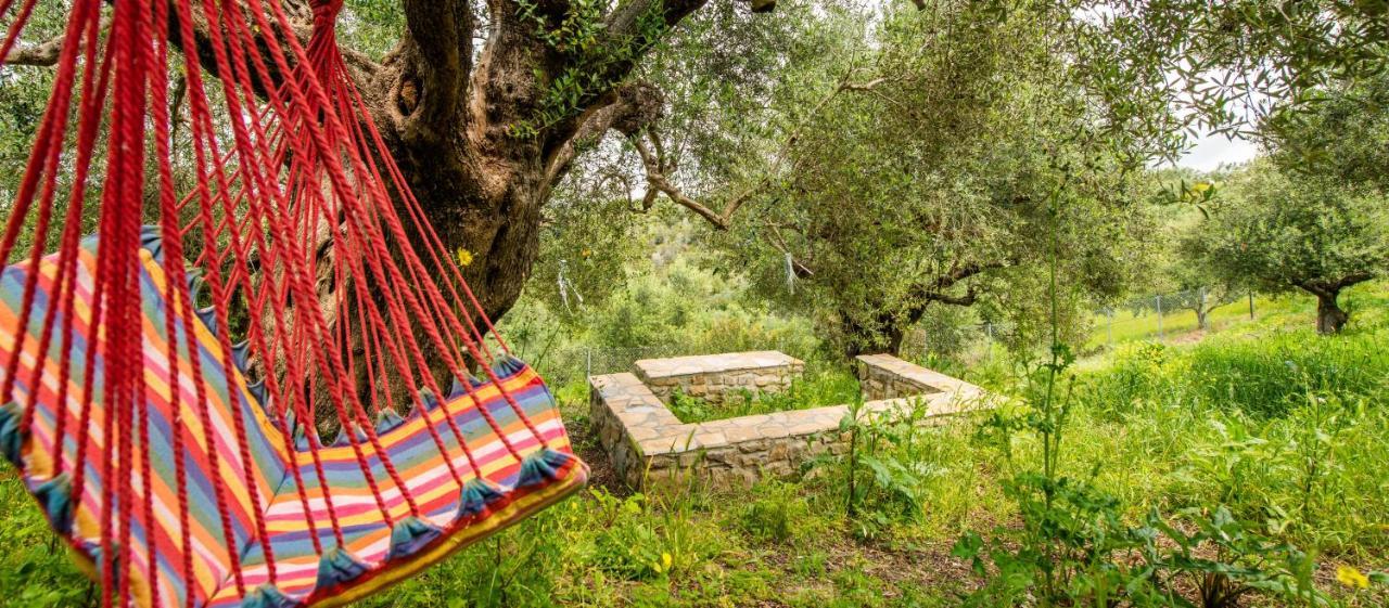 Hakuna Matata Holidays Wooden Lodge With Airco & Pool In Greek Olive Grove Метони Экстерьер фото