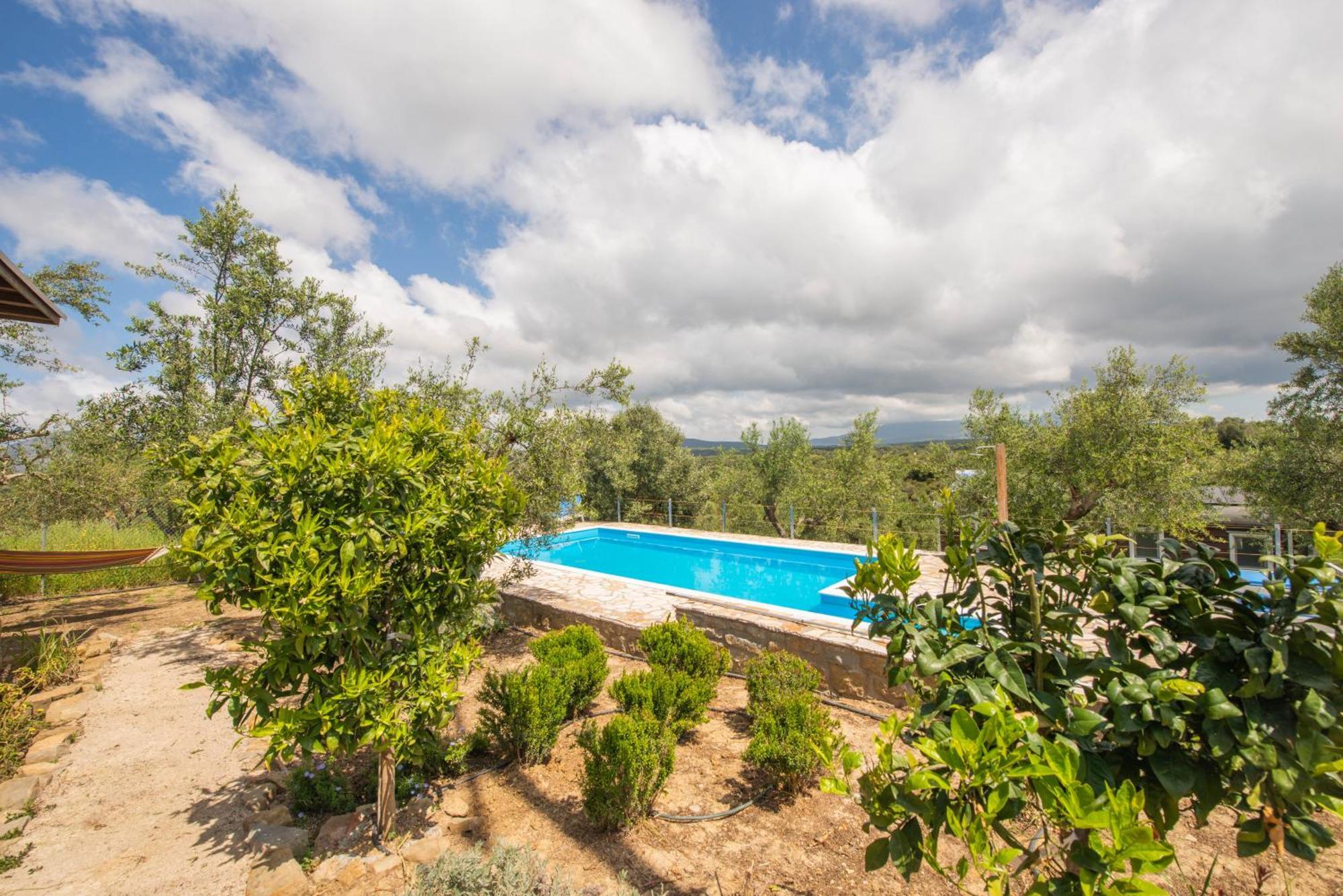 Hakuna Matata Holidays Wooden Lodge With Airco & Pool In Greek Olive Grove Метони Экстерьер фото