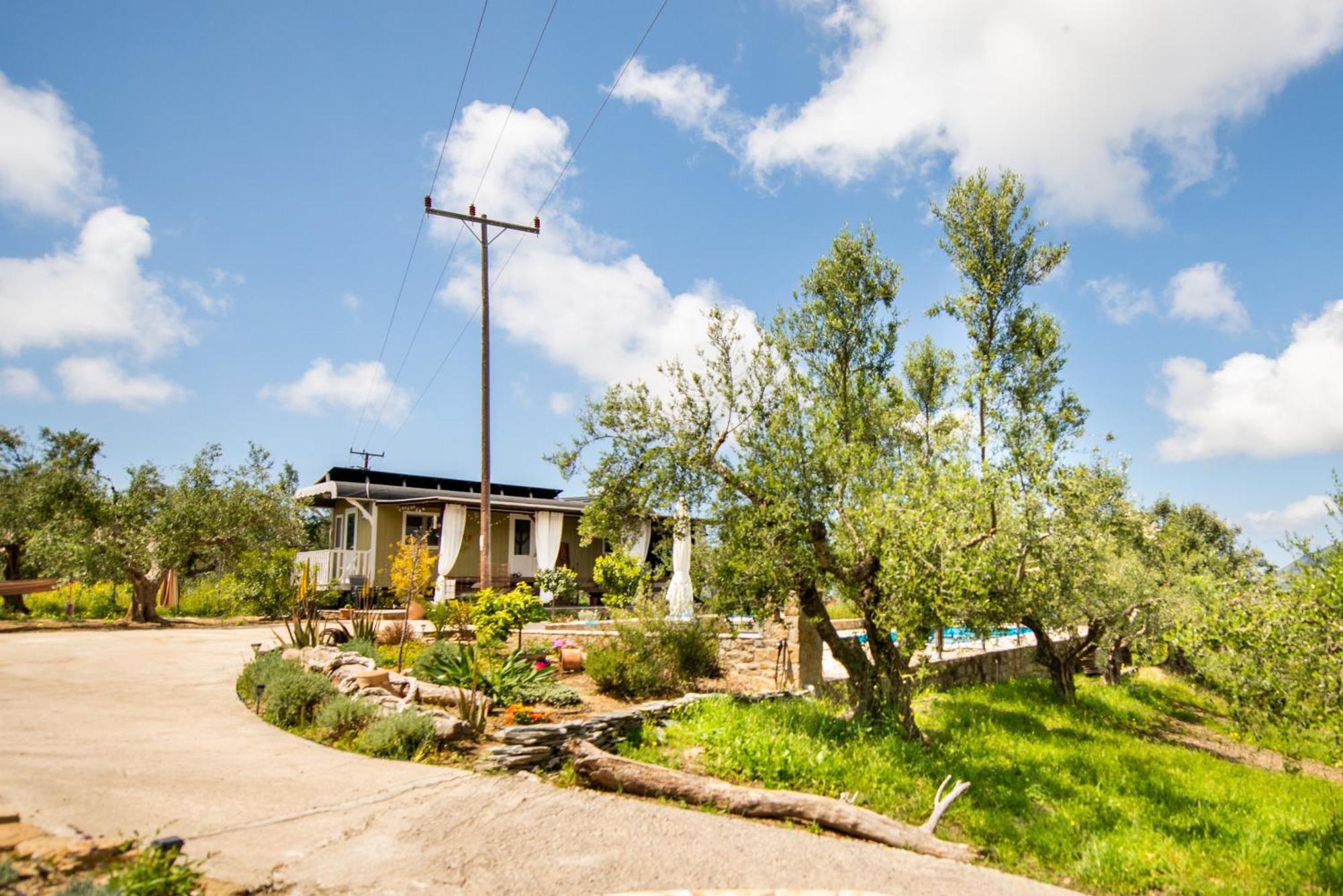Hakuna Matata Holidays Wooden Lodge With Airco & Pool In Greek Olive Grove Метони Экстерьер фото